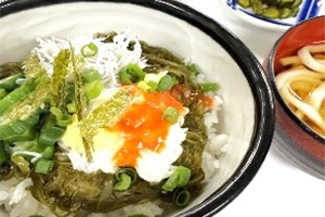 しらすとろろ丼 ミニうどん付